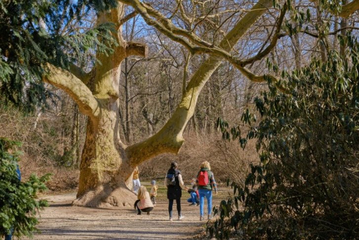 Alcsúti Arboretum Nature Reserves, Alcsútdoboz, Hungary, Hungary